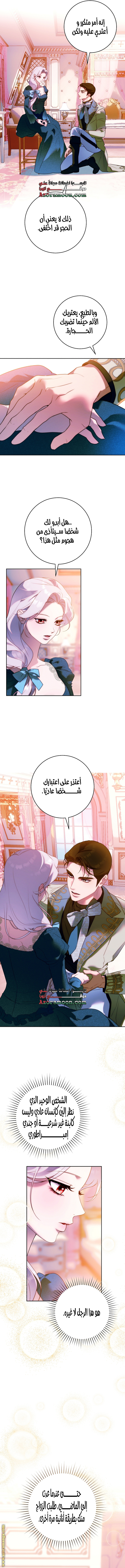 صفحة 13