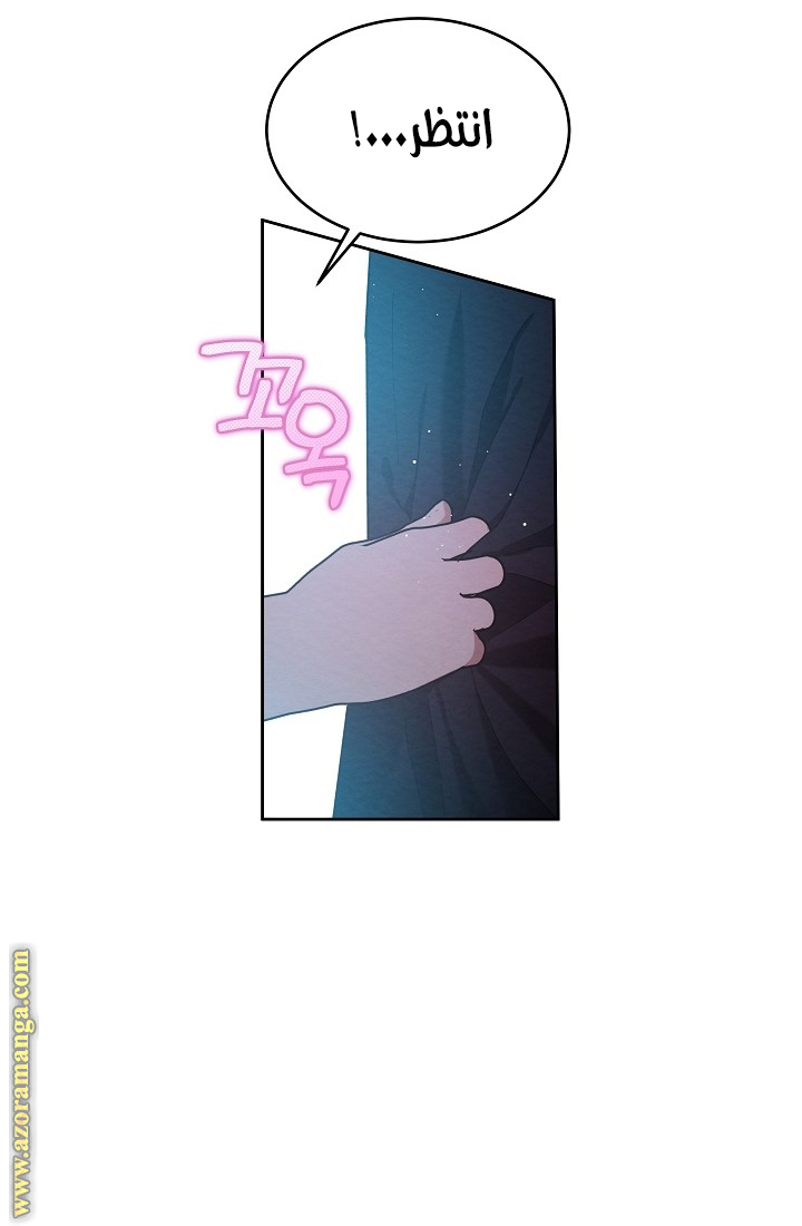 صفحة 21