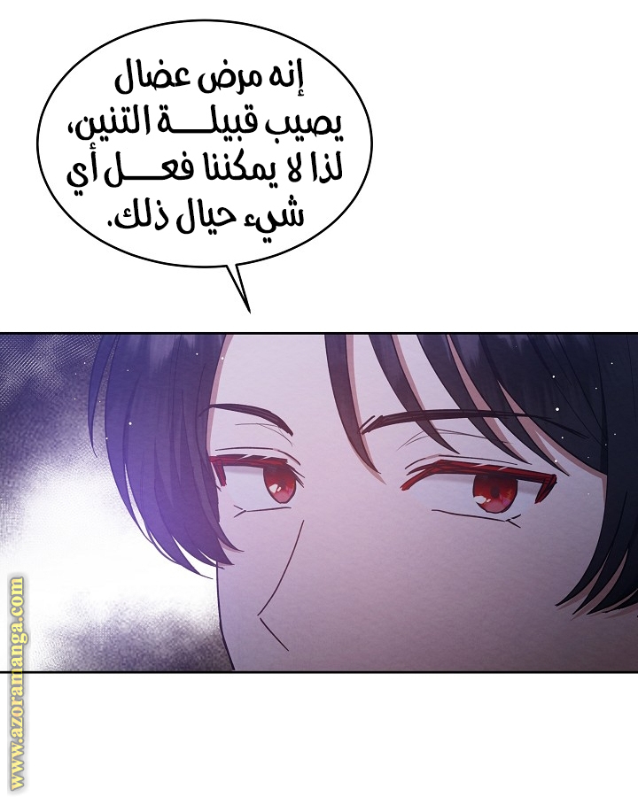 صفحة 24