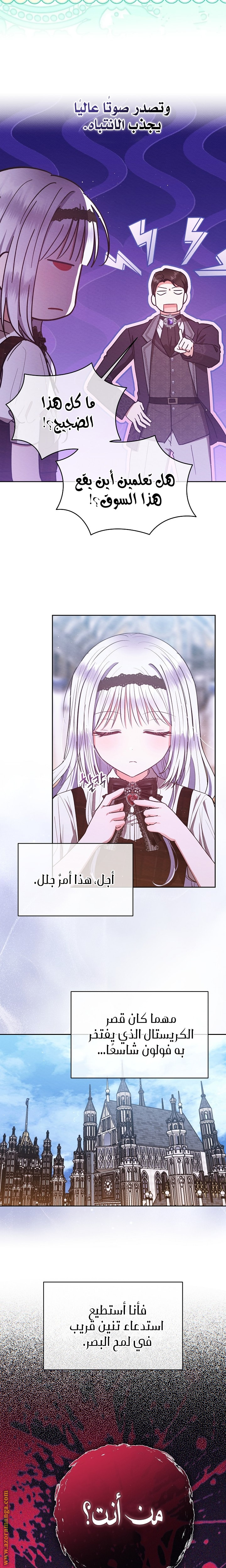 صفحة 13