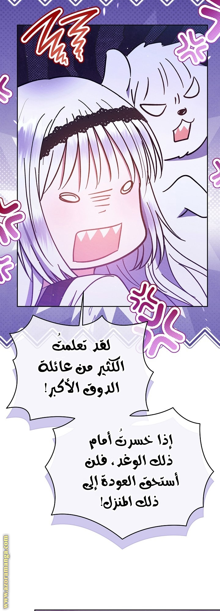 صفحة 17