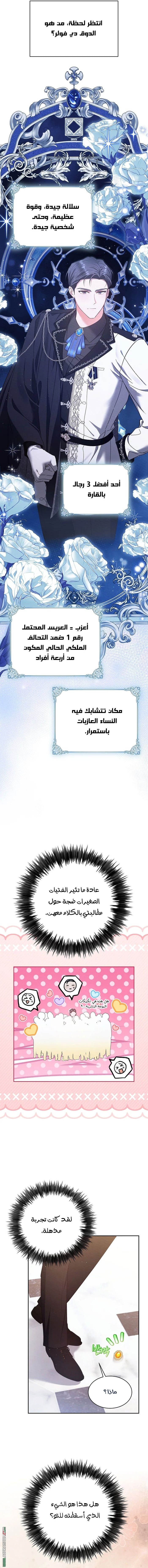 صفحة 13