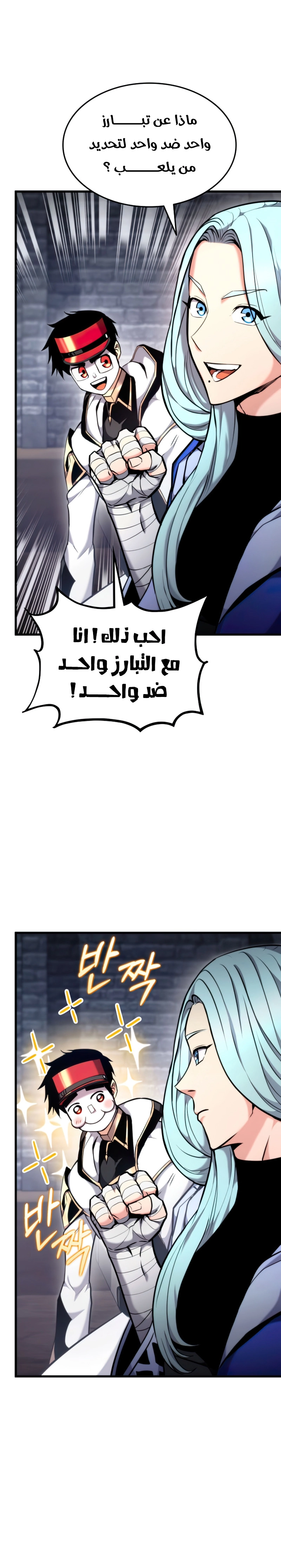صفحة 13