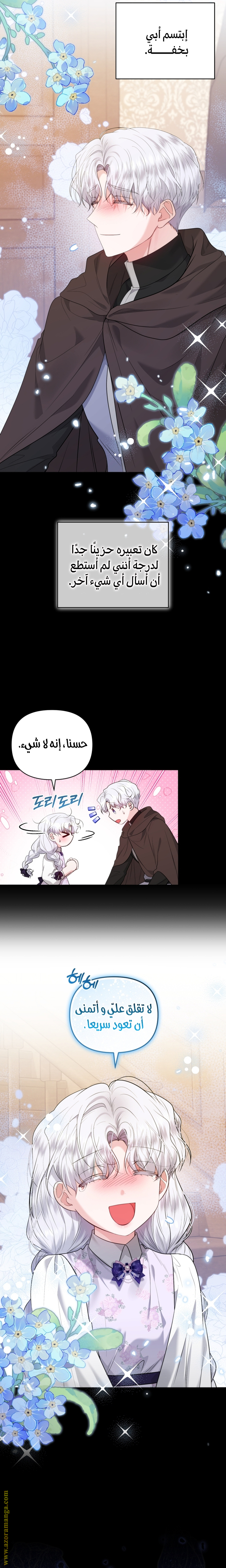 صفحة 17