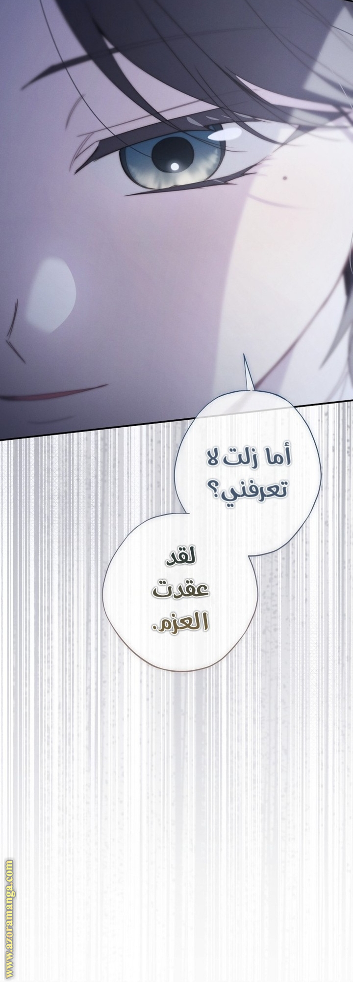 صفحة 13