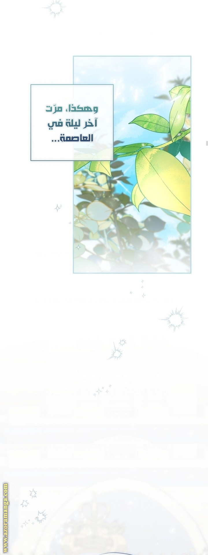 صفحة 24