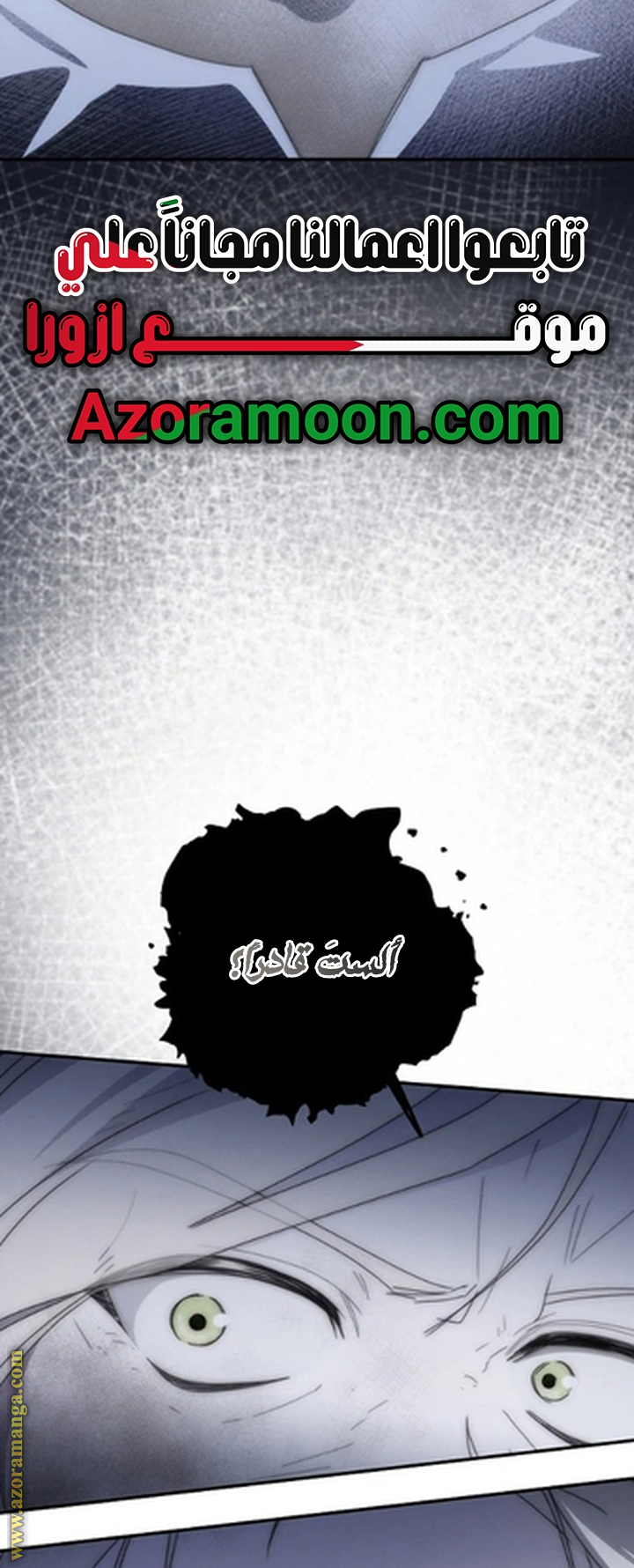 صفحة 17
