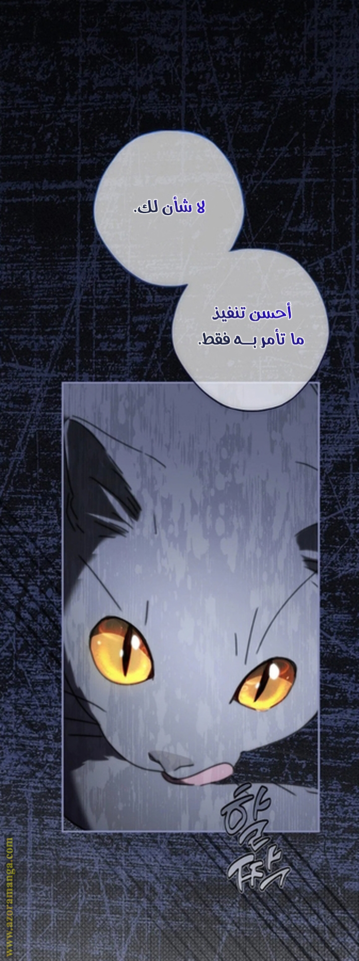 صفحة 21