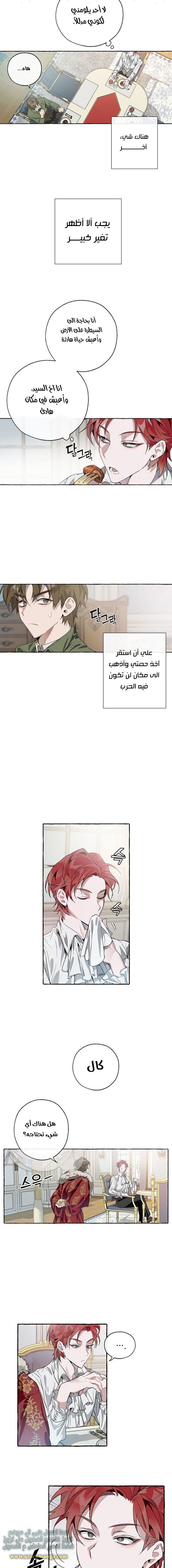 صفحة 8