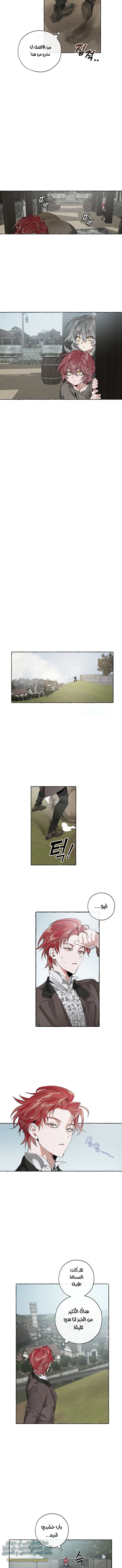 صفحة 3