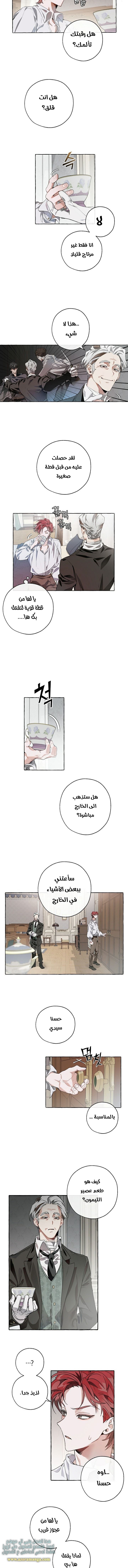 صفحة 3