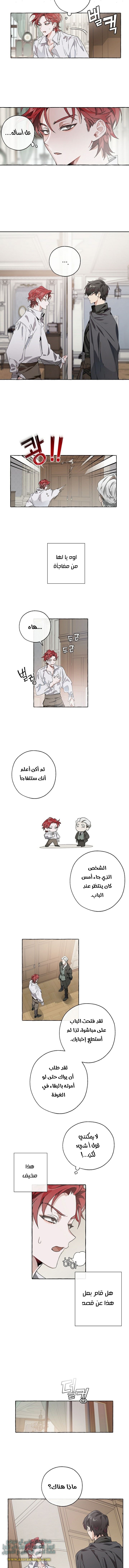 صفحة 4