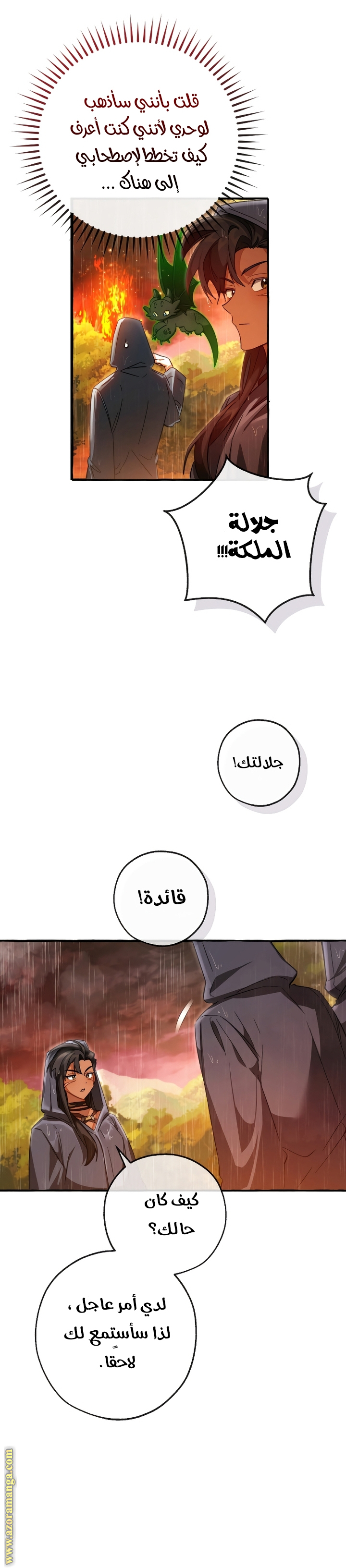 صفحة 17