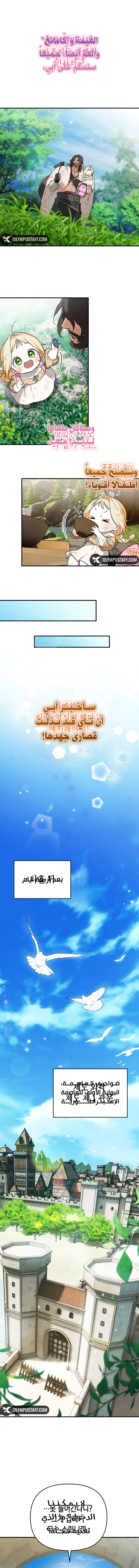 صفحة 3