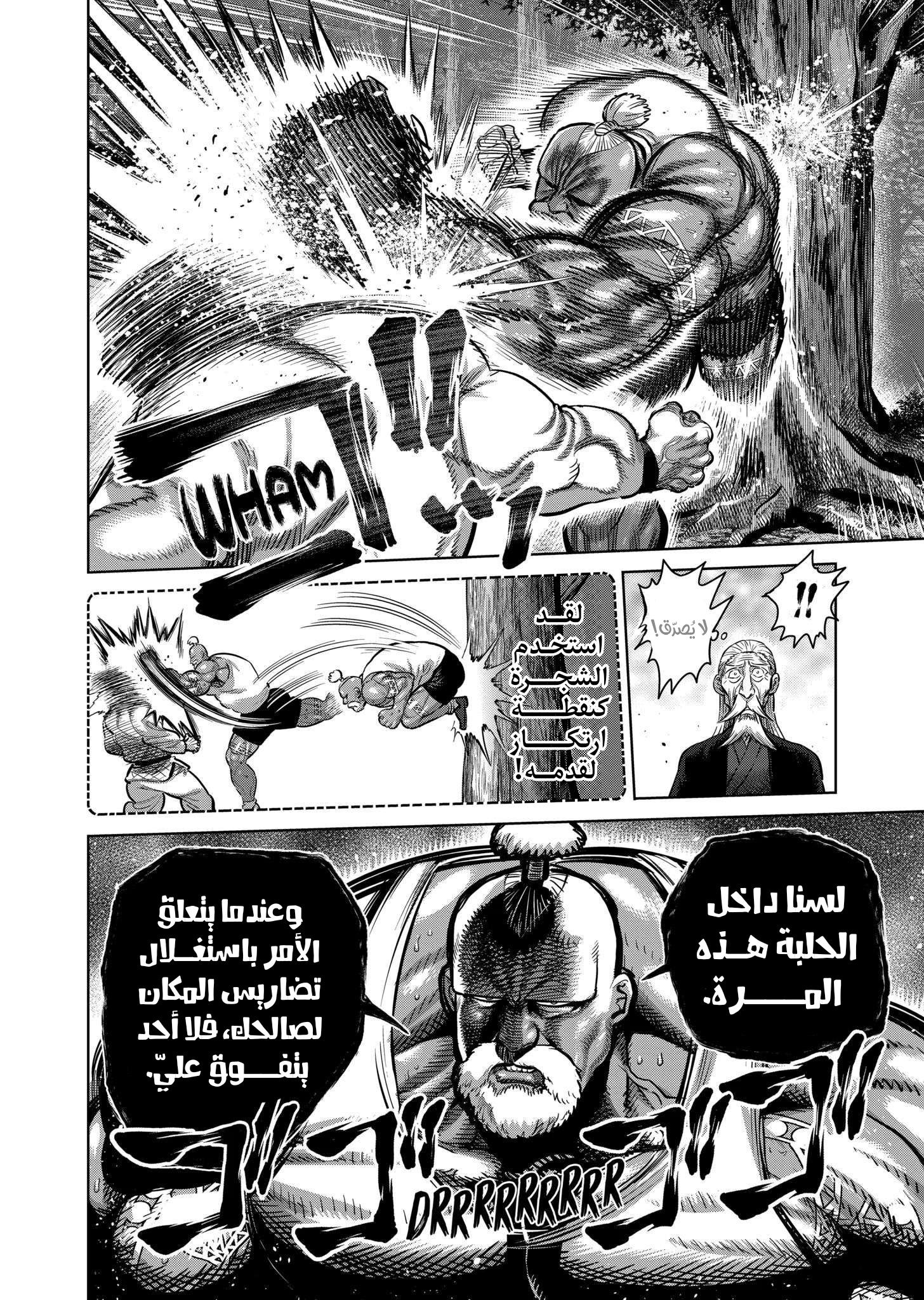 صفحة 17