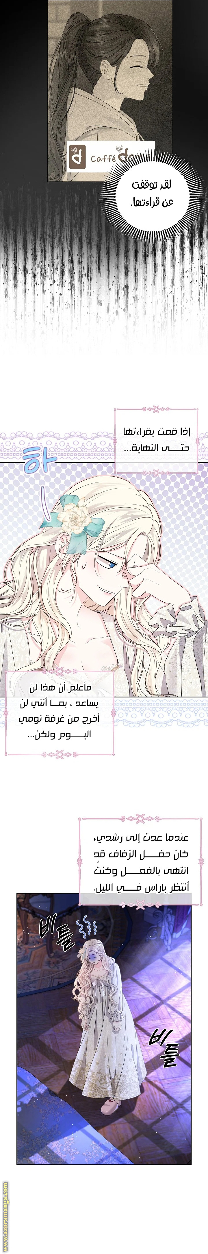 صفحة 13
