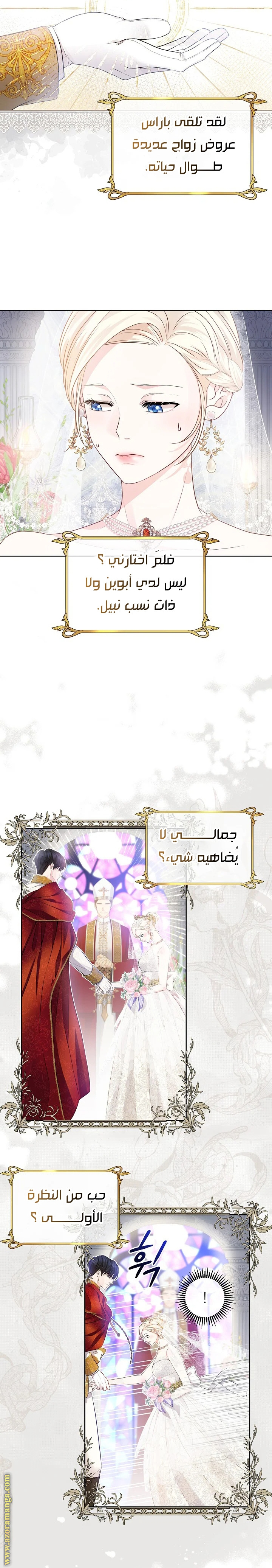 صفحة 8
