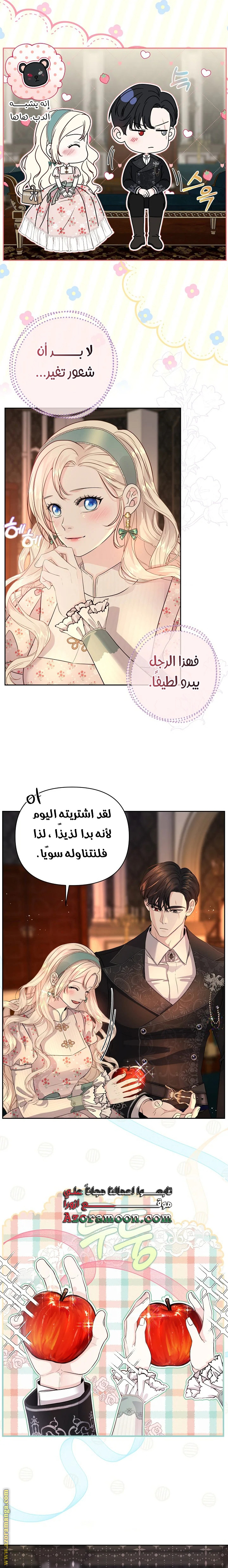 صفحة 13