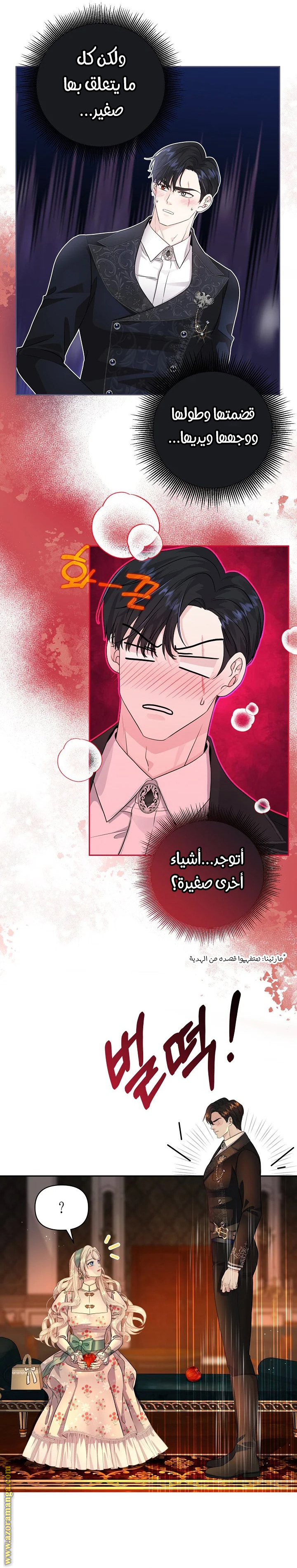 صفحة 17