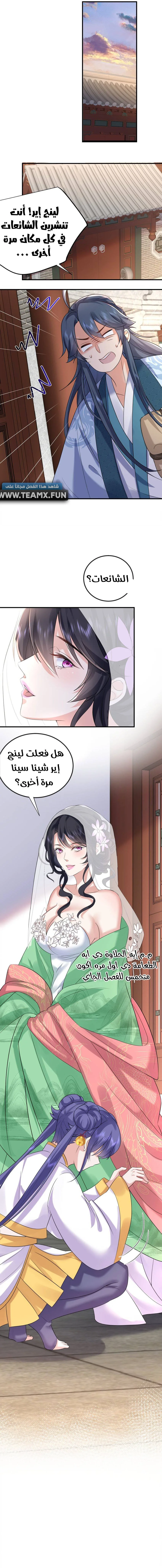 صفحة 3