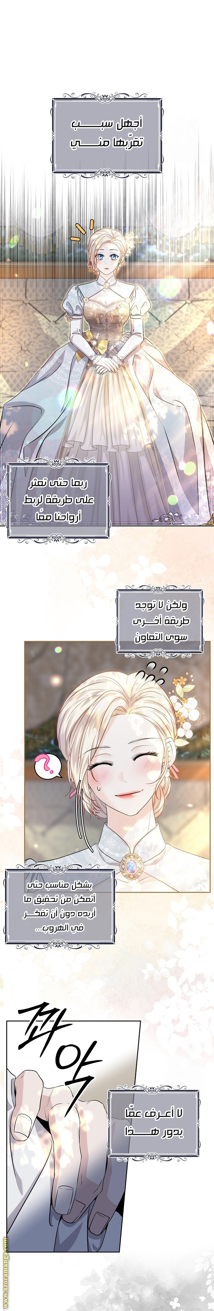 صفحة 17