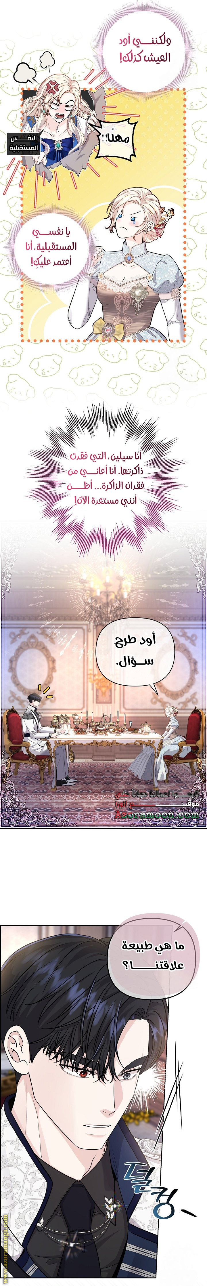 صفحة 17