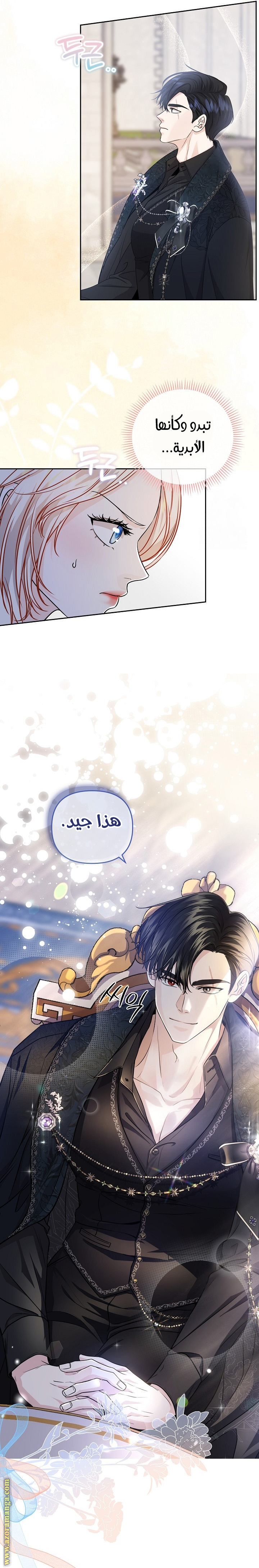 صفحة 13