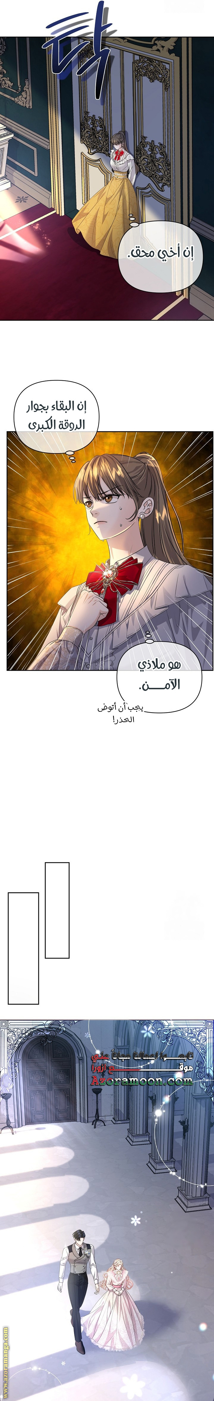 صفحة 17
