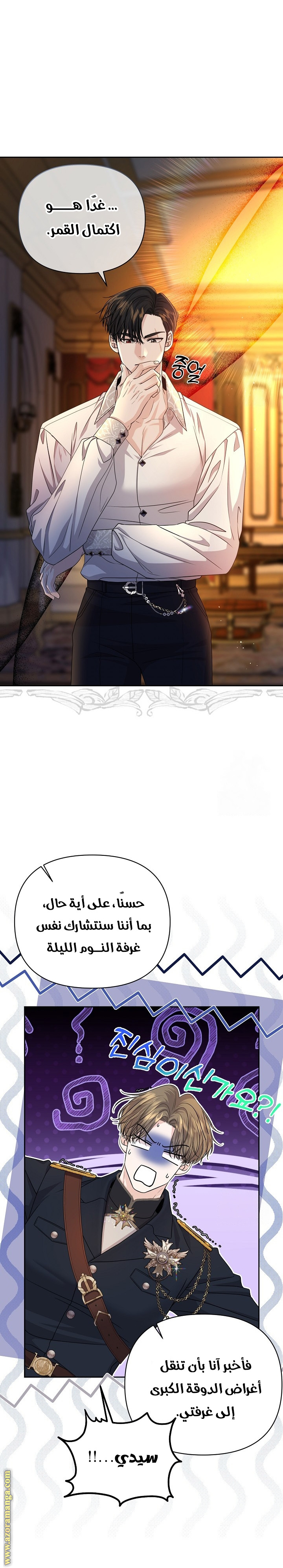 صفحة 17