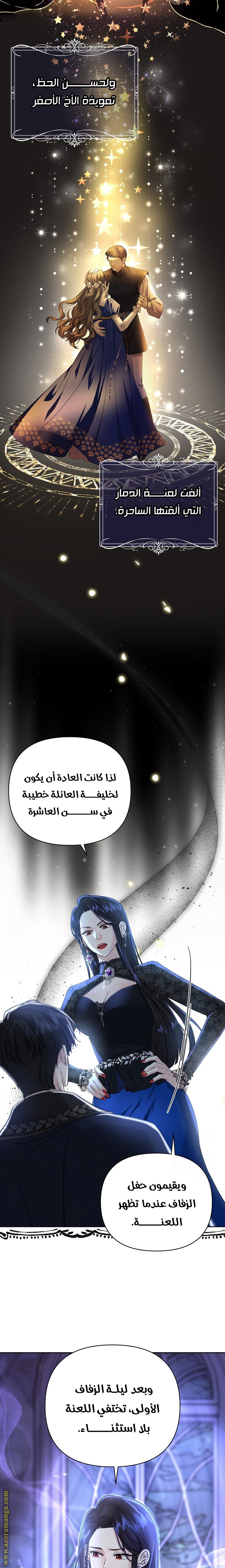 صفحة 22