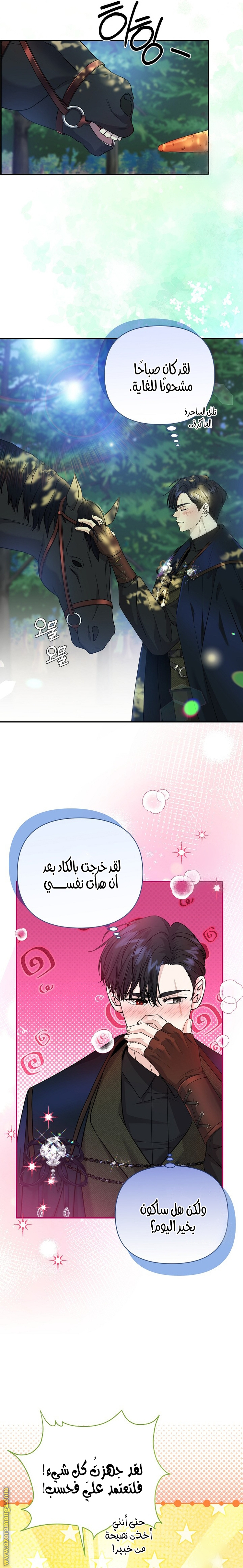 صفحة 11