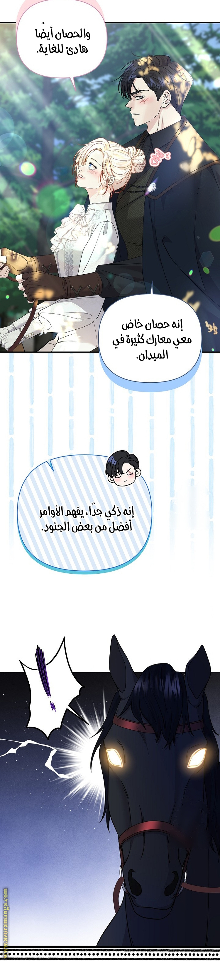 صفحة 17