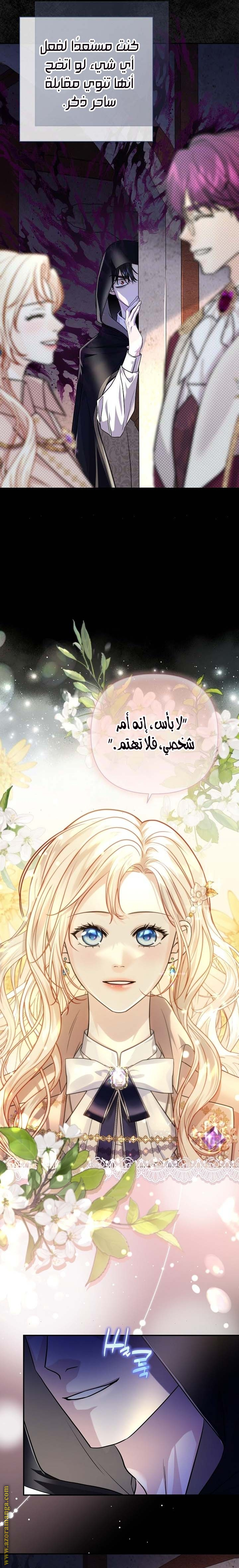 صفحة 13