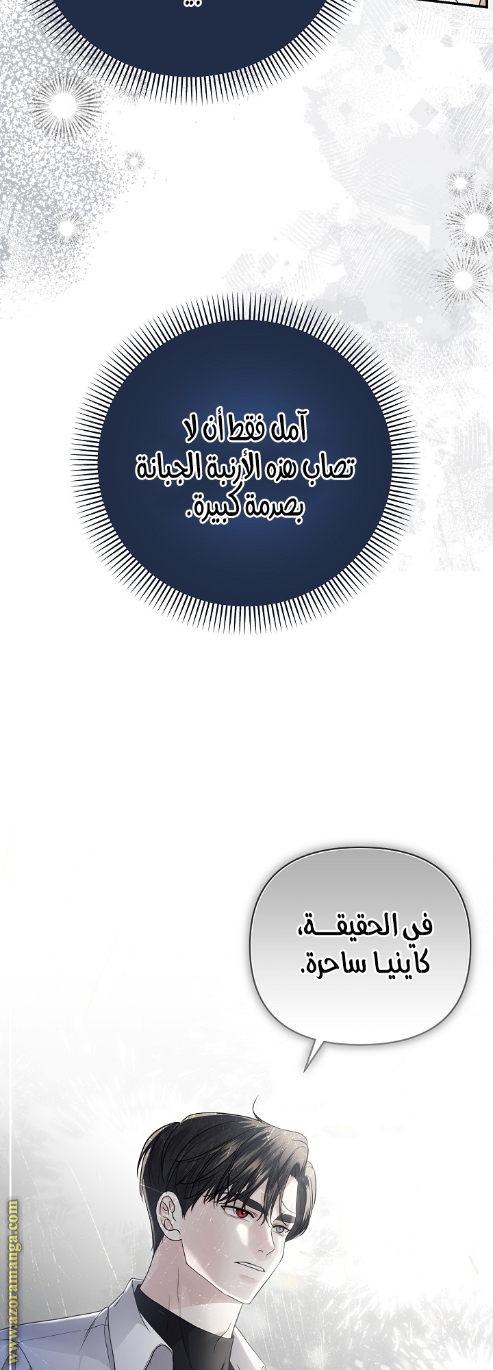 صفحة 30