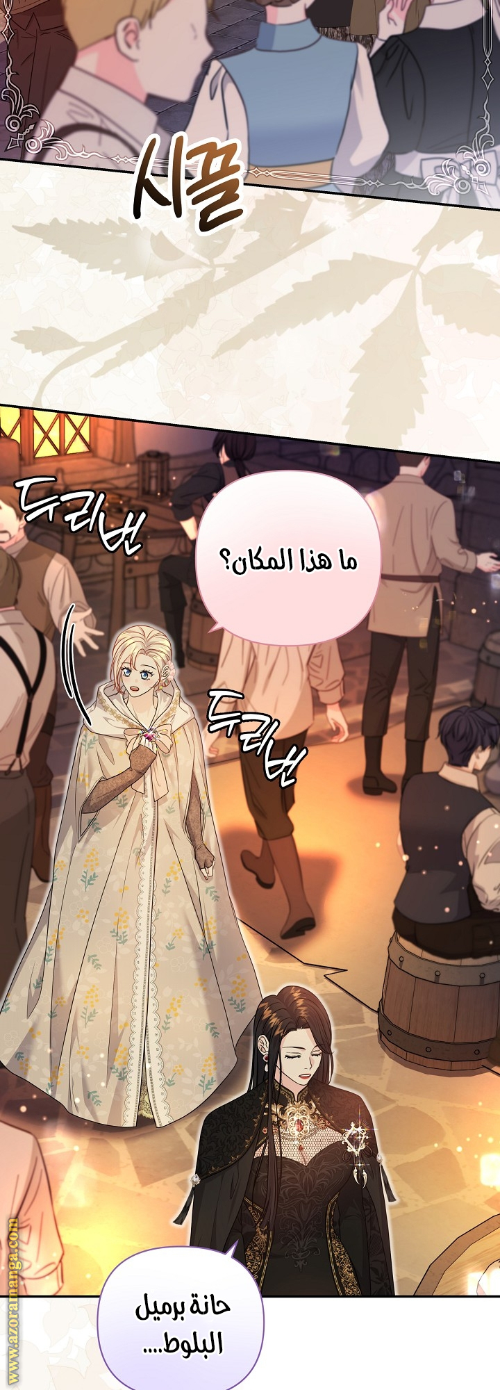 صفحة 17