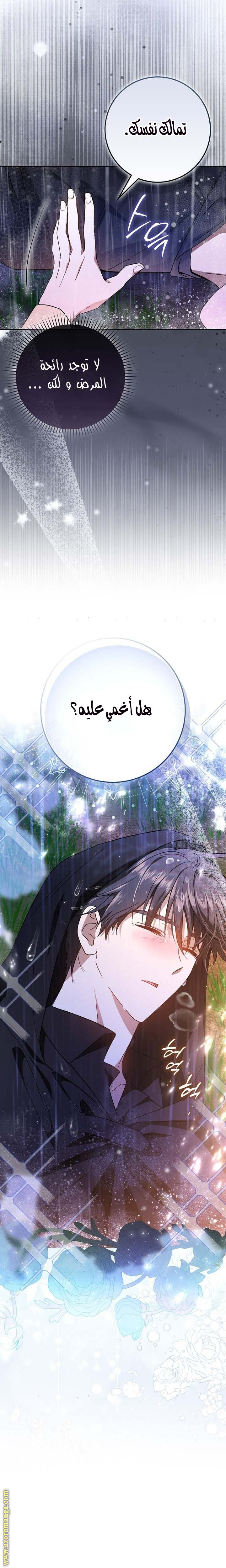 صفحة 31