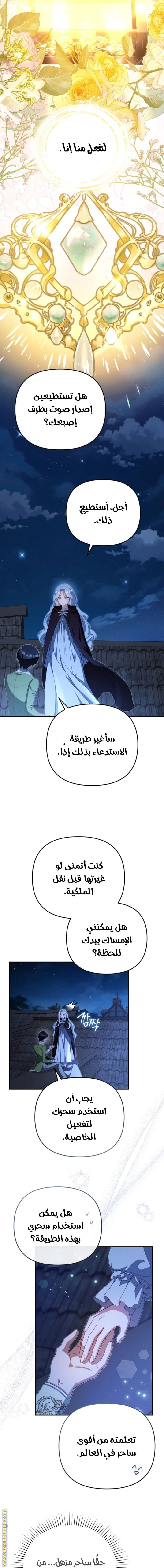 صفحة 3
