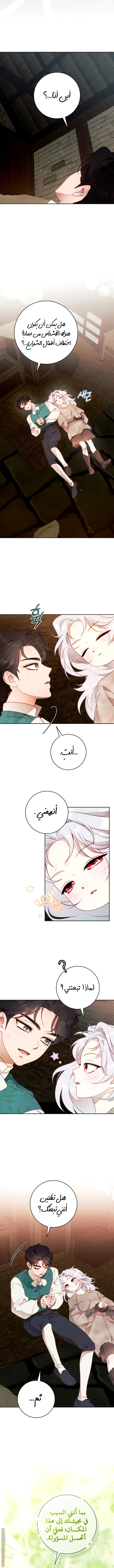 صفحة 8