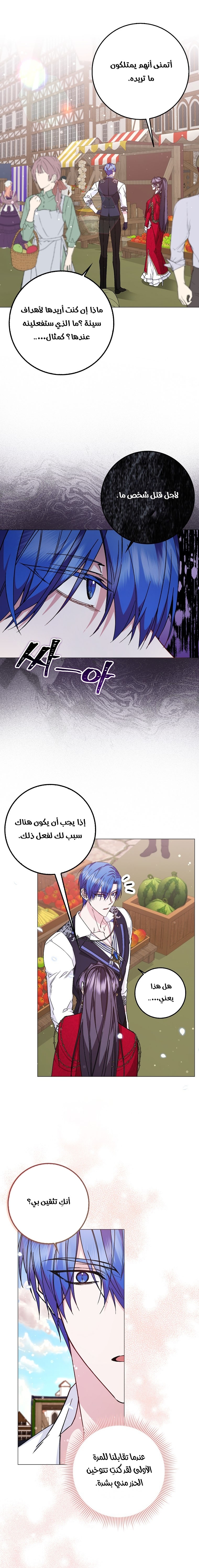صفحة 17