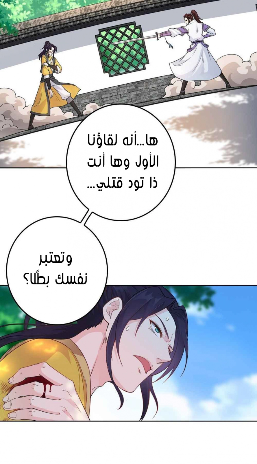 صفحة 17