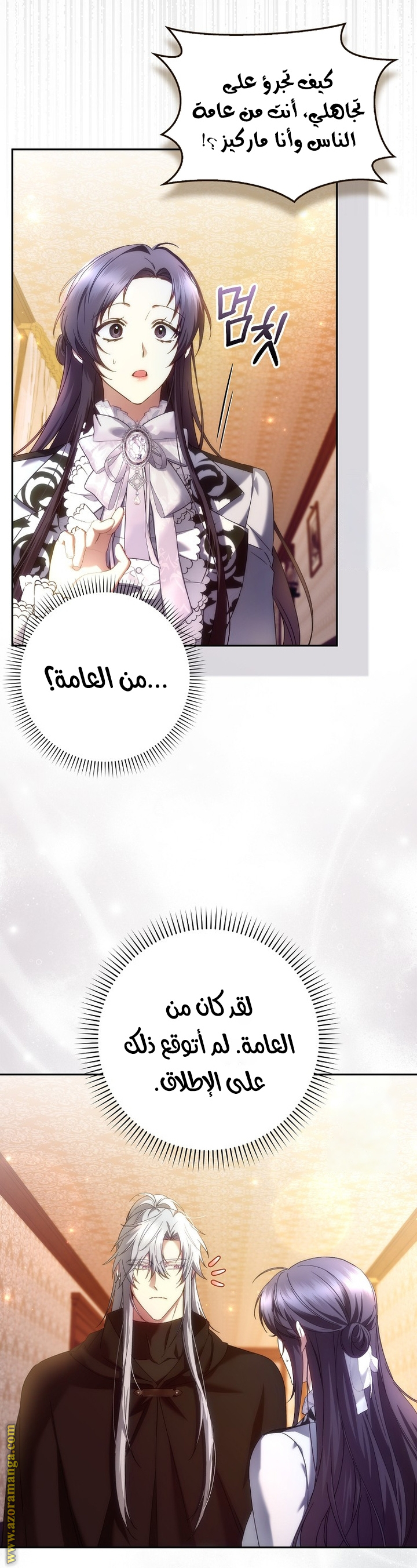 صفحة 17