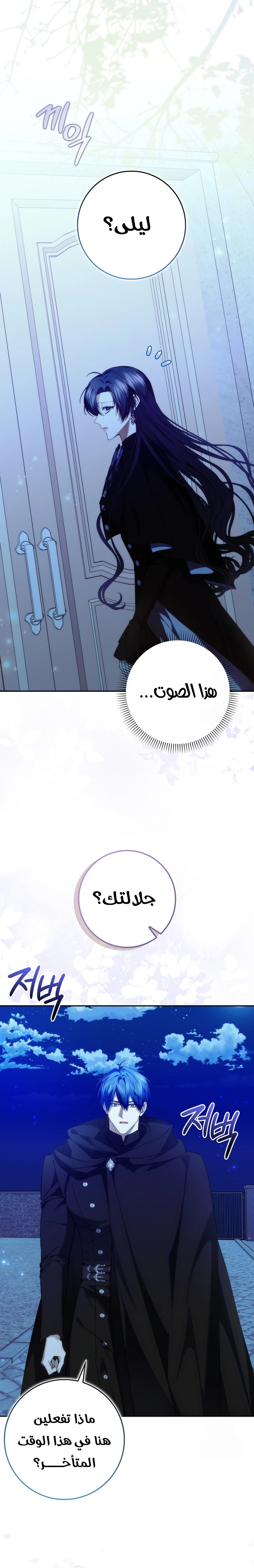 صفحة 25