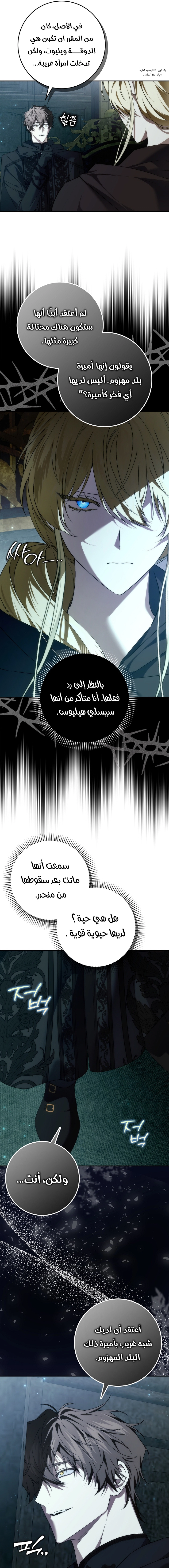 صفحة 17