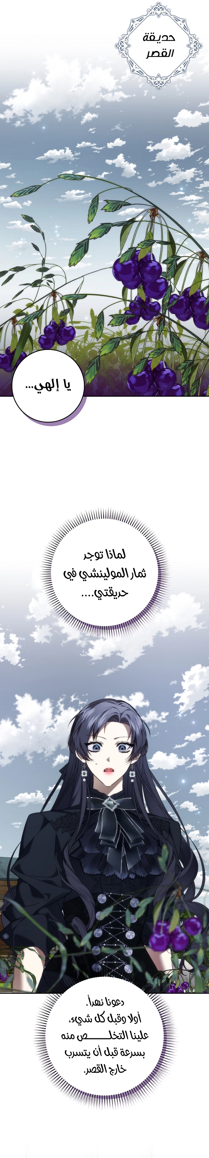 صفحة 27