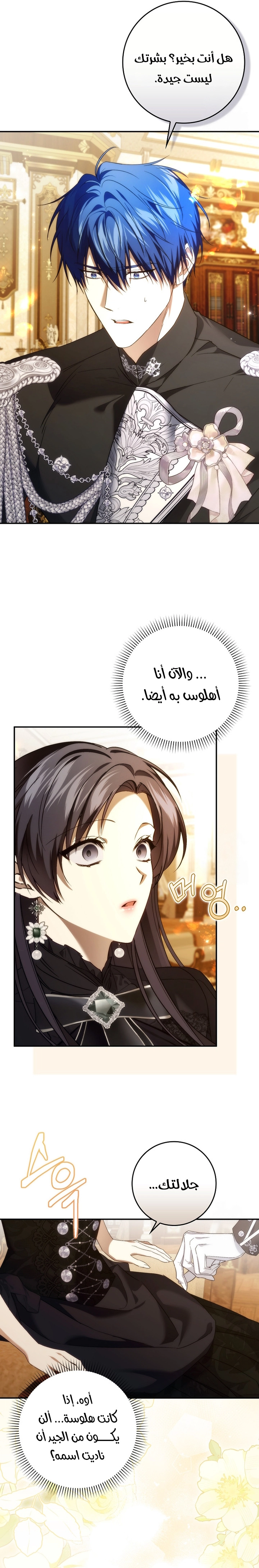 صفحة 17