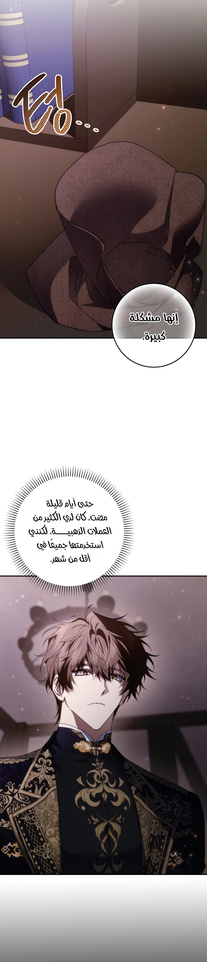 صفحة 13