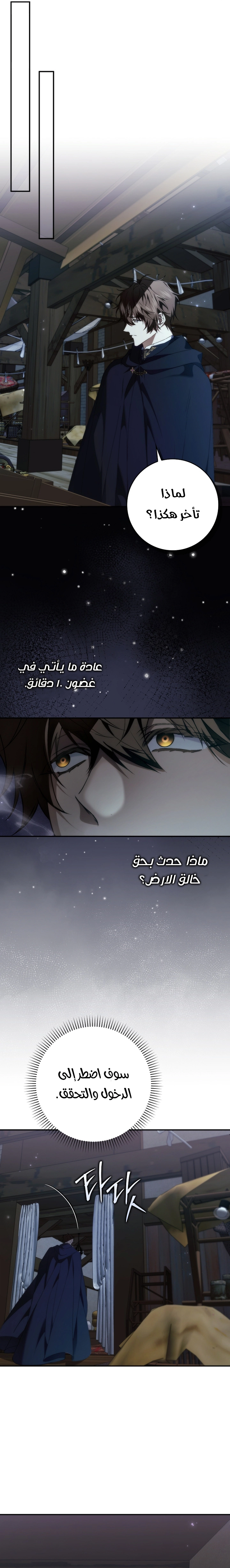 صفحة 13