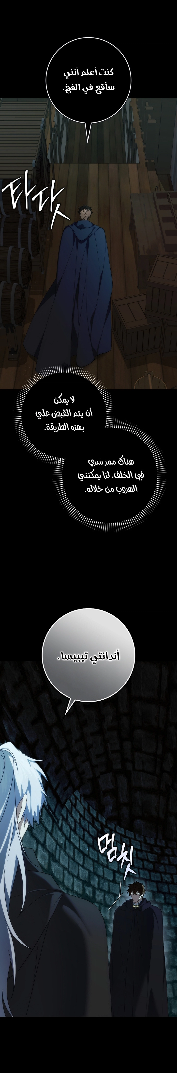 صفحة 15