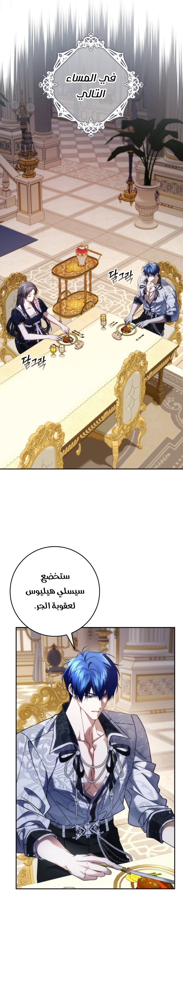 صفحة 17