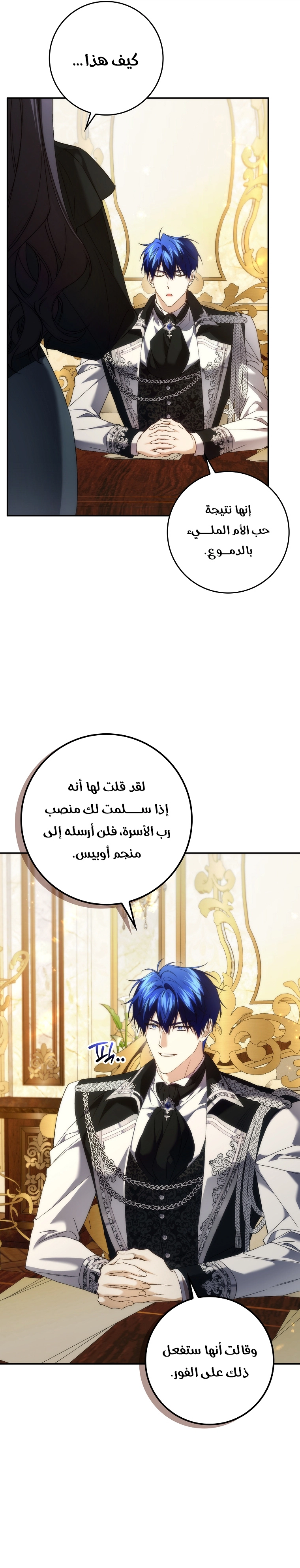 صفحة 17